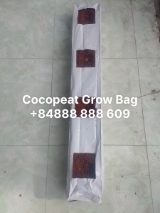 Giá thể mụn dừa Grow Bag VinaTap | Túi giá thể chuyên trồng cây nhà lưới | Sẵn hàng giá rẻ