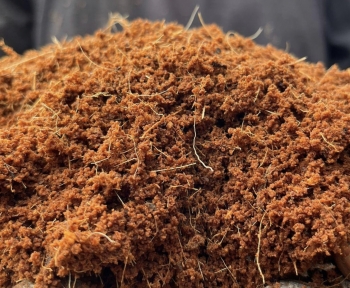 Coco peat bag 50 litter | Cocopeat Low EC | 95% Peat + 5% Fiber | Cocopeat VinaTap Viet Nam