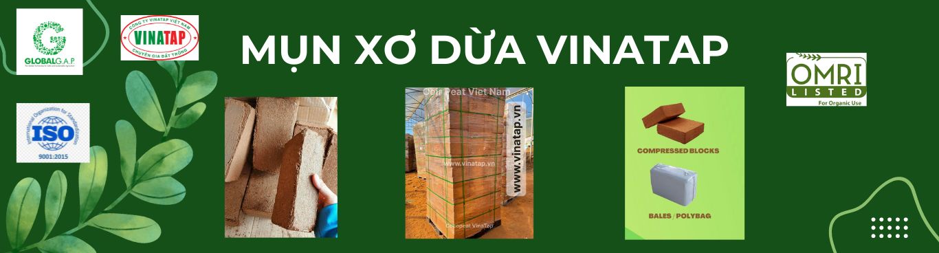 VinaTap - Nhà sản xuất Giá thể xơ dừa, mùn dừa hàng đầu Việt Nam