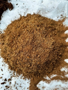 Công Thức Trộn Đất Trồng Sâm Ngọc Linh Chuẩn Kỹ Thuật | VinaTap Sỉ Lớn