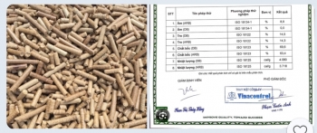 Rice Husk Pellets Vietnam – High-Quality Biomass Fuel | VinaTap Manufacturer