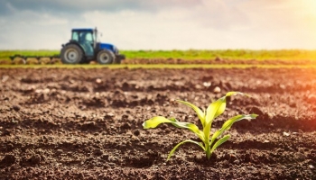 Đất phù sa là gì? Đặc điểm và ứng dụng trong nông nghiệp