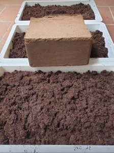 Coco peat block 5kg | Size 300x300x120mm |  Coco peat export | Planting trees with coco peat blocks | Phù hợp trồng mọi loại cây | Sản xuât bởi VinaTap