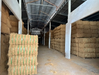 Cocopeat, coconut fiber made in Vietnam, high quality for planting trees and spreading livestock