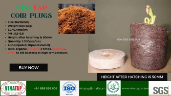 Coco Peat pellets disc moss grow for agriculture Seedling Soil Block. Made in Viet Nam