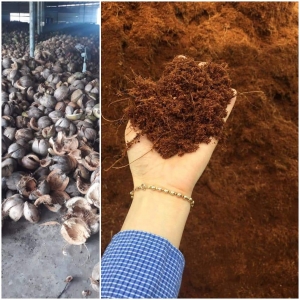 Cocopeat Việt Nam | Nhà máy VinaTap sản xuất | Phù hợp xuất khẩu trồng cây và lót chuồng trại | Cocopeat VinaTap