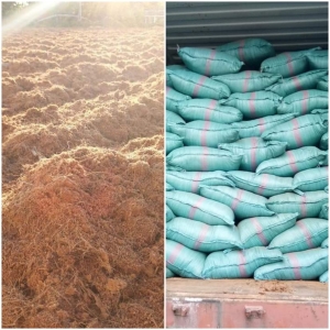 Mụn Dừa Chưa Xử Lý High EC – Cocopeat High EC | VinaTap Việt Nam