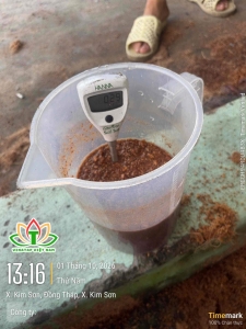 Báo Giá Mụn Dừa Gieo Ươm Hạt Giống, Thủy Canh, Chuối Cấy Mô VinaTap Sỉ Lớn