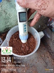 Cocopeat 100L Bag Supplier Vietnam | Low EC Buffered Cocopeat 100 Liter