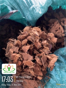 Coco Husk Chip – Premium Coconut Husk Chips Supplier | VinaTap Vietnam