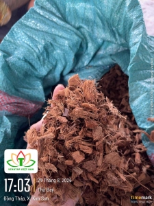 Coco Husk Chip Supplier Vietnam | Buffered Coconut Husk Chips Exporter