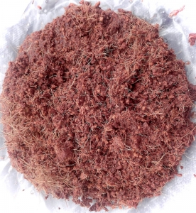 Giá thể gieo hạt giống