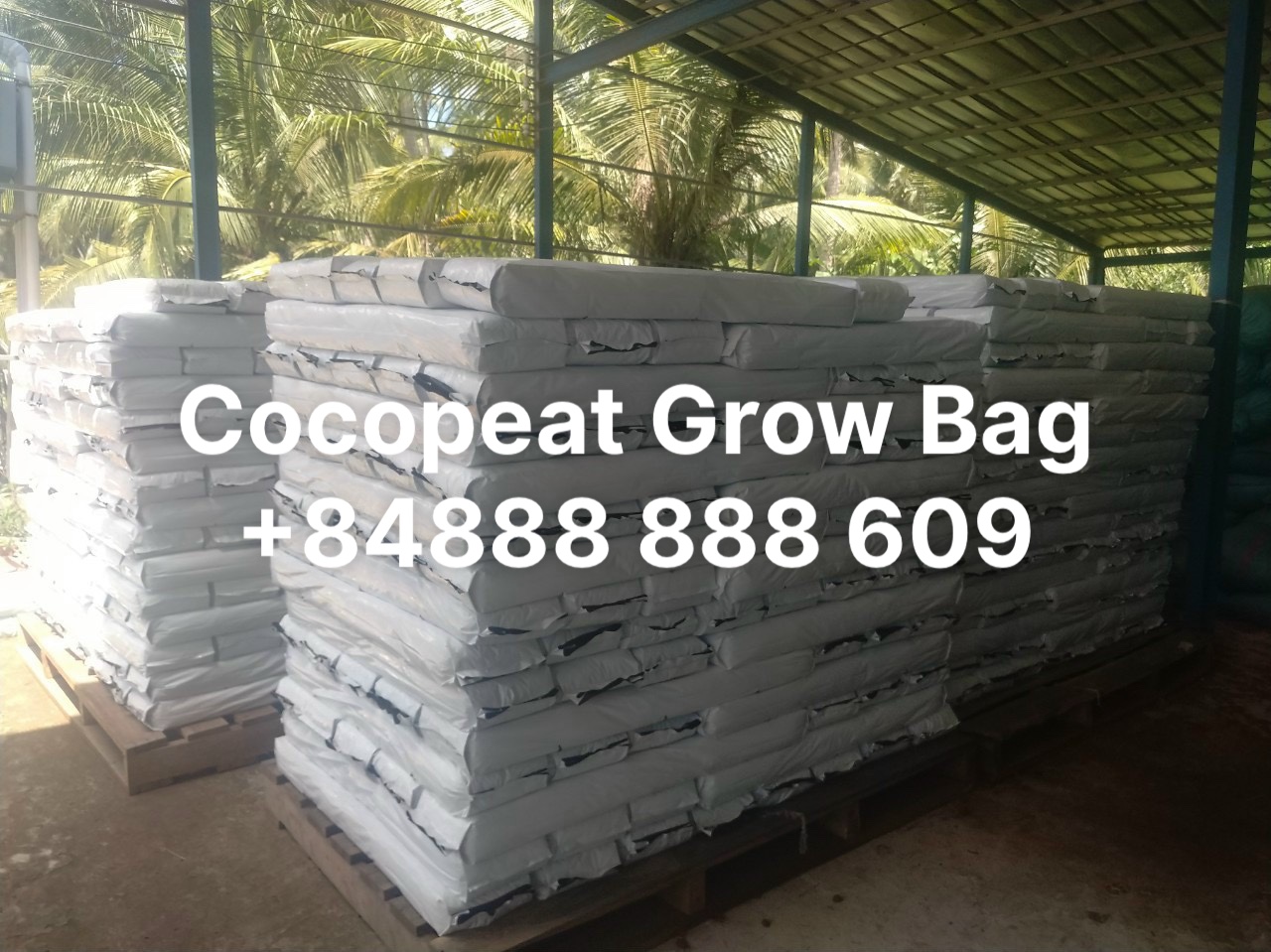 Thẻ xơ dừa ép growbag Vinatap chuyên trồng cây trong nhà kính, nhà lưới