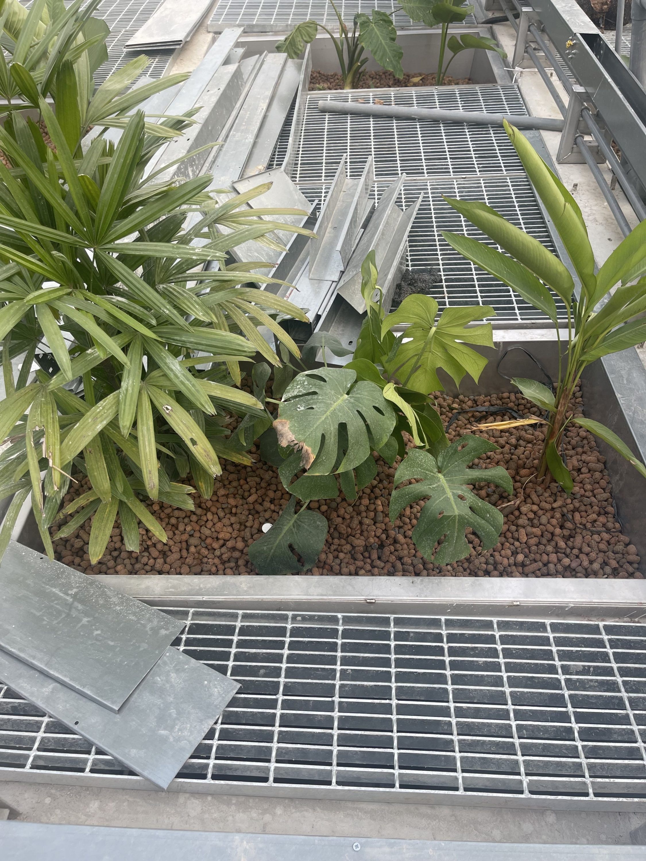 Ứng dụng viên đất nung VinaTap trong trồng trọt thủy canh và lót chậu