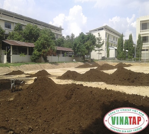 Đất trồng cây VinaTap