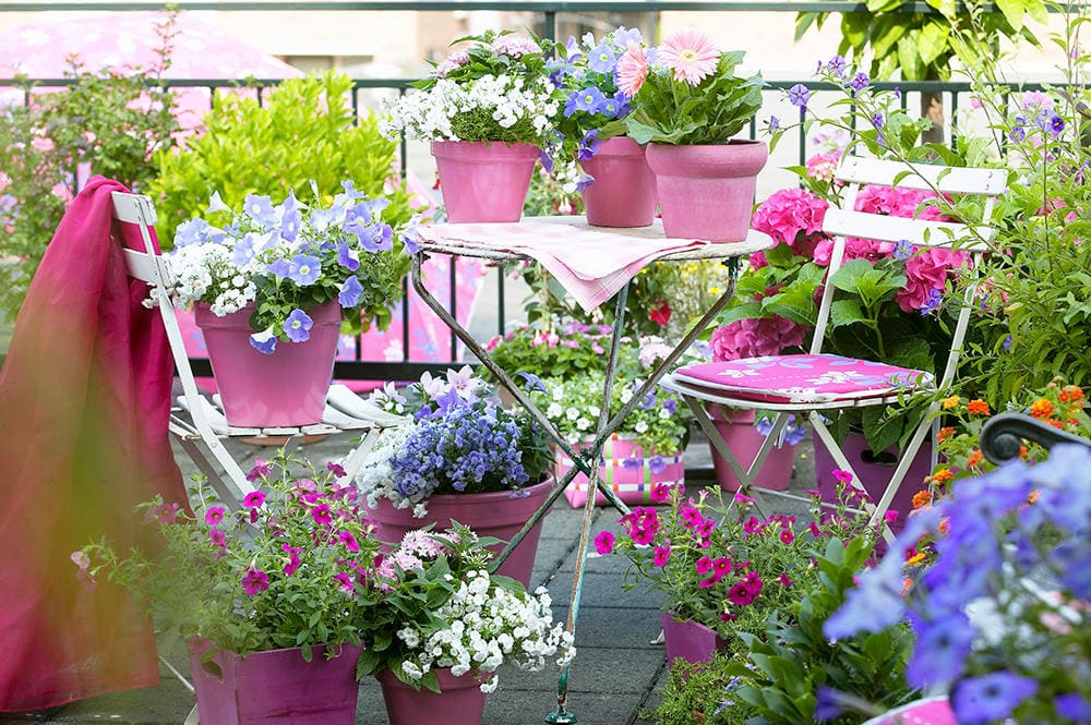 Mụn Dừa Trồng Hoa Lan – Giá Thể Chuyên Dụng Cho Orchid | VinaTap Việt Nam