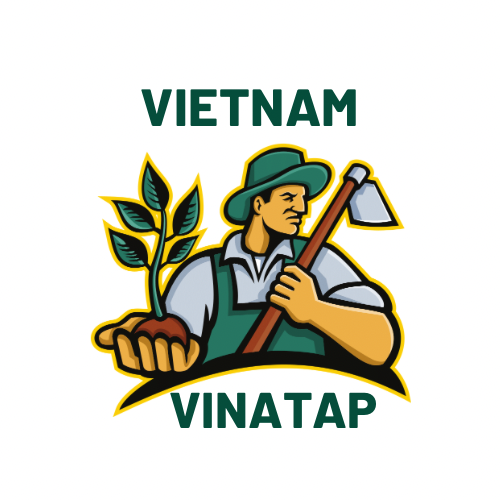 Cocopeat VinaTap: The Ultimate Growing Medium for Planting in Vietnam