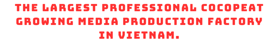 VinaTap Vietnam Company