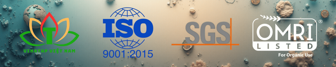 VinaTap Vietnam Company