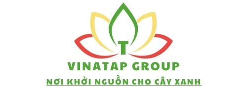 Công ty VinaTap Vietnam