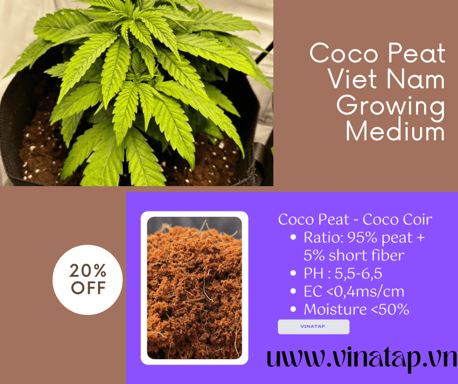 coco peat vinatap