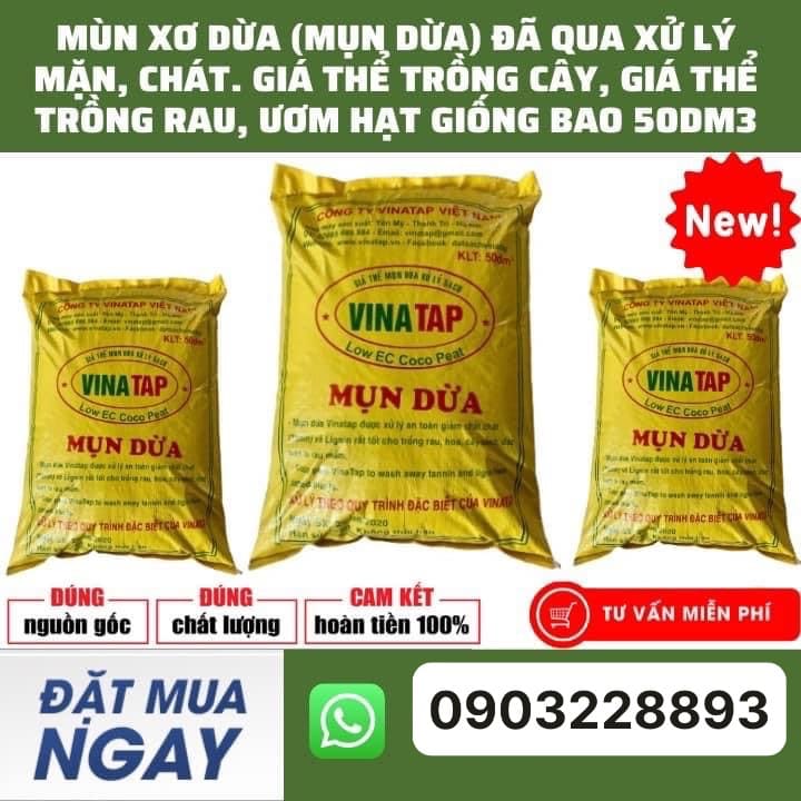 xơ dừa vinatap