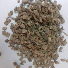 Coconut husk chips for reptile bedding and plant