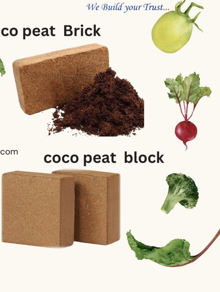 coco block 5kg vinatap