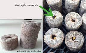 Coco Peat pellets disc moss grow for agriculture Seedling Soil Block. Made in Viet Nam