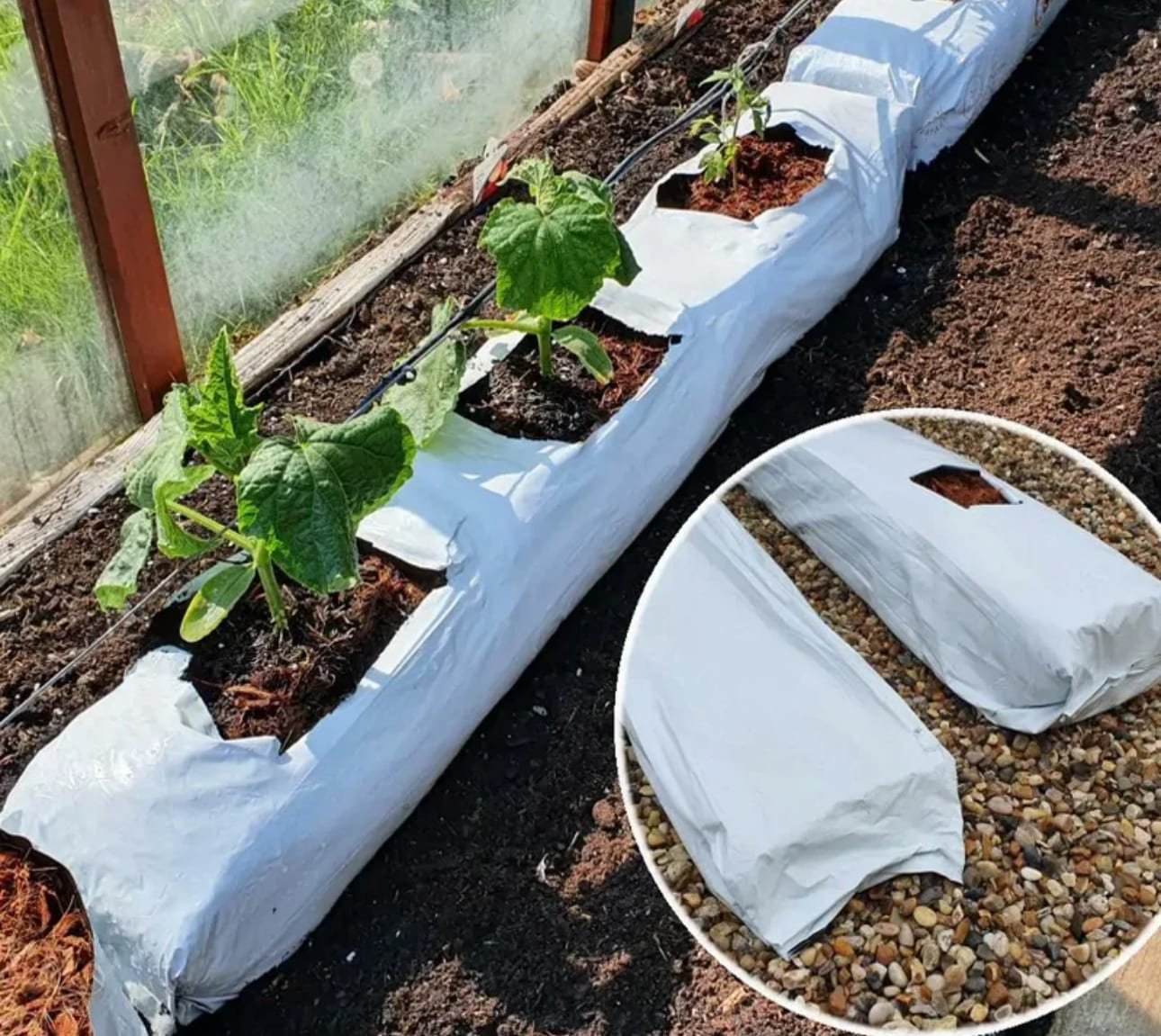 Grow Bag VinaTap