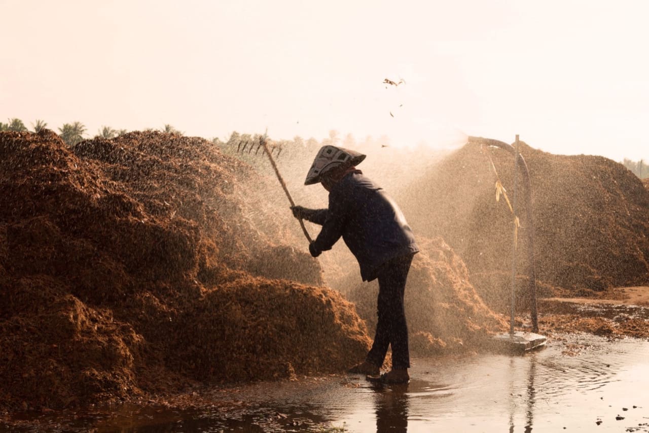 Mụn dừa Vinatap làm đệm lót chuồng trại chăn nuôi