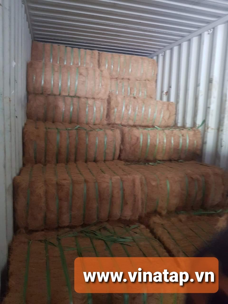 Coco Fiber VietNam