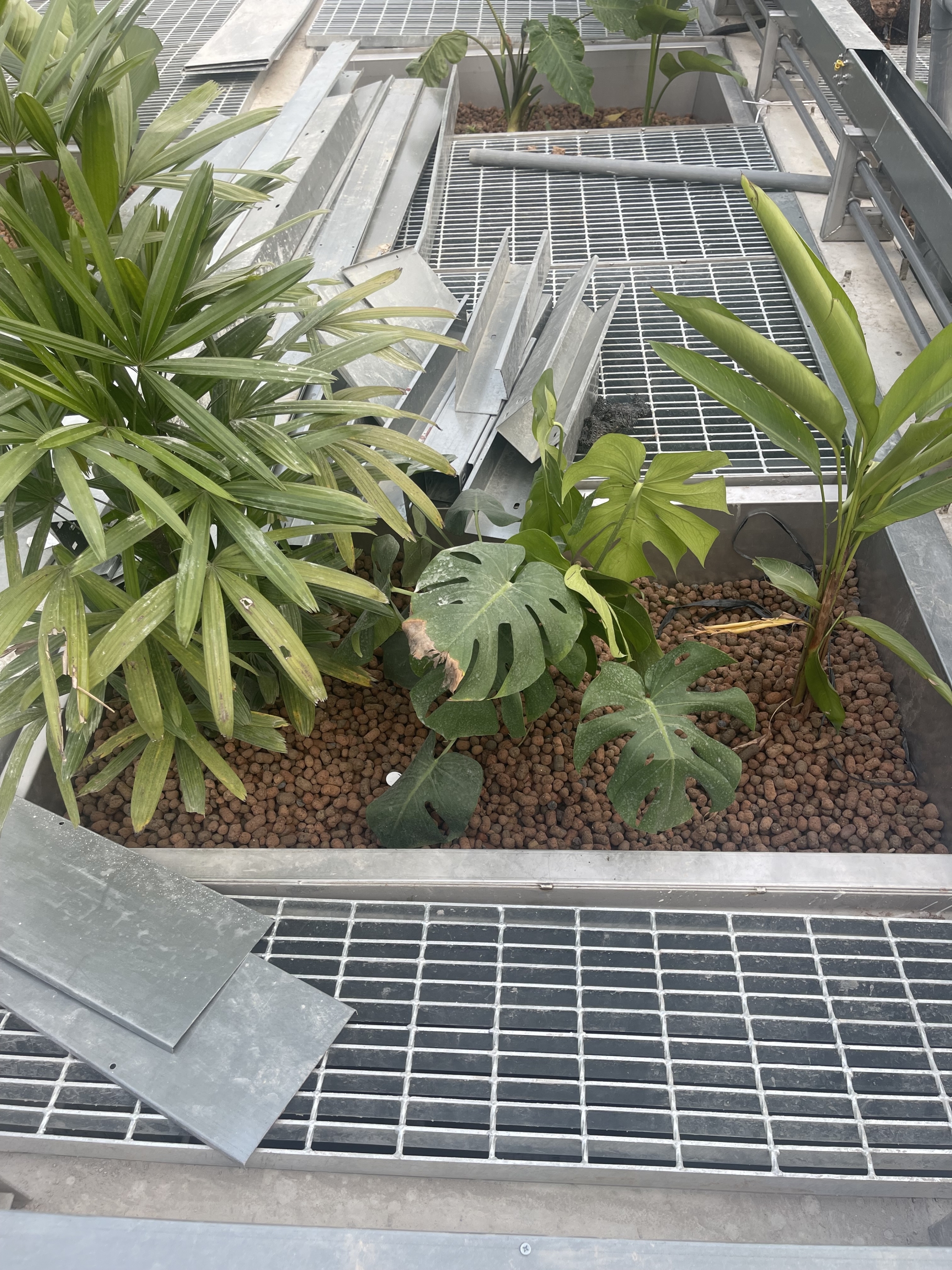 Công thức phối trộn giá thể tối ưu cho bonsai và cây cảnh từ VinaTap