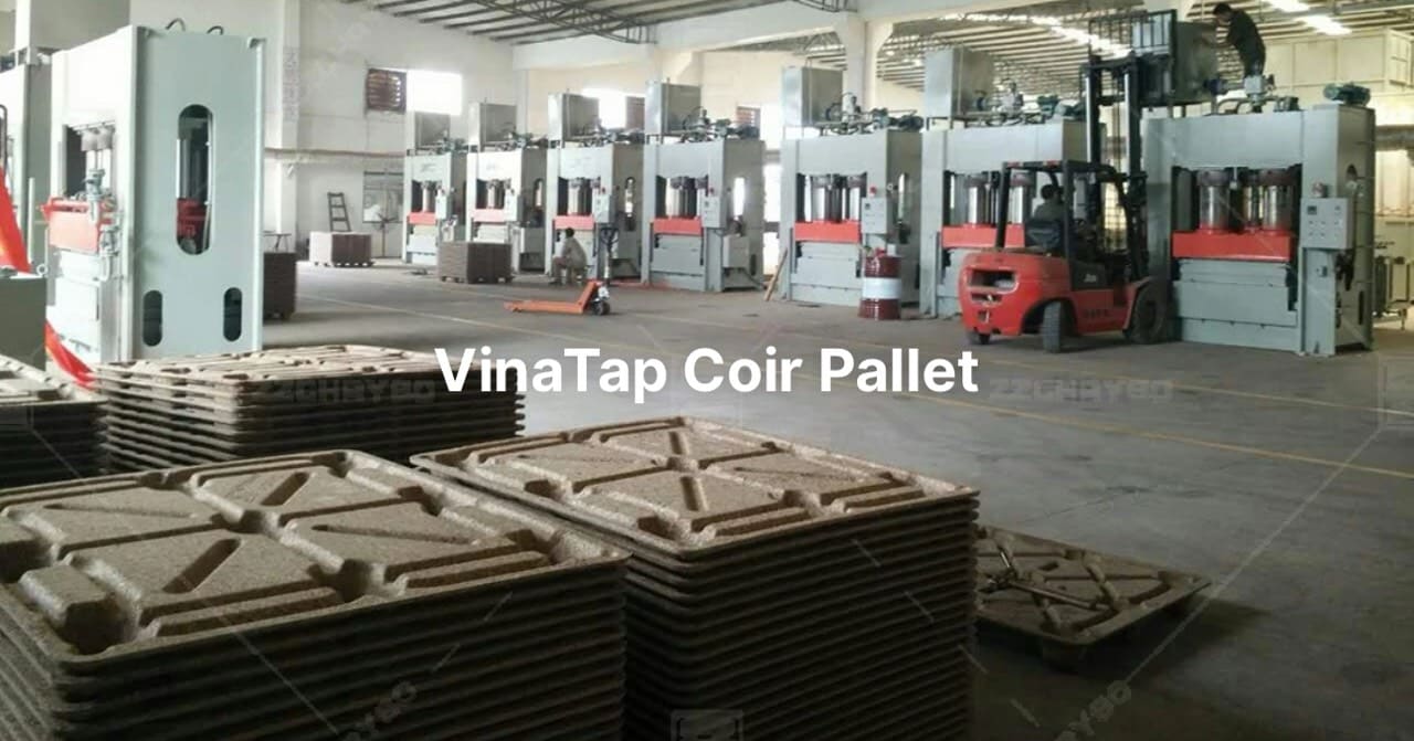 Pallet xơ dừa VinaTap