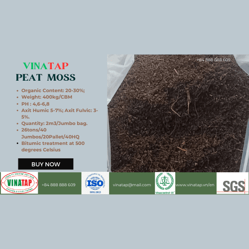 Peat moss (rêu than bùn) VinaTap