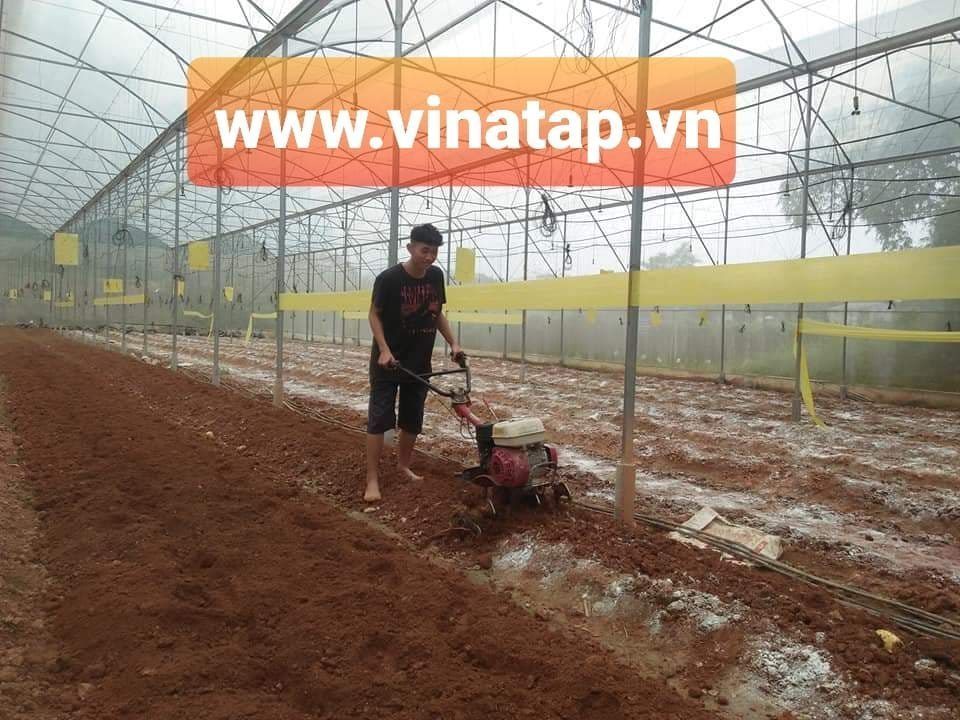 Hướng dẫn cách bón phân gà bột Nhật Bản VinaTap cho rau màu và cây ăn trái