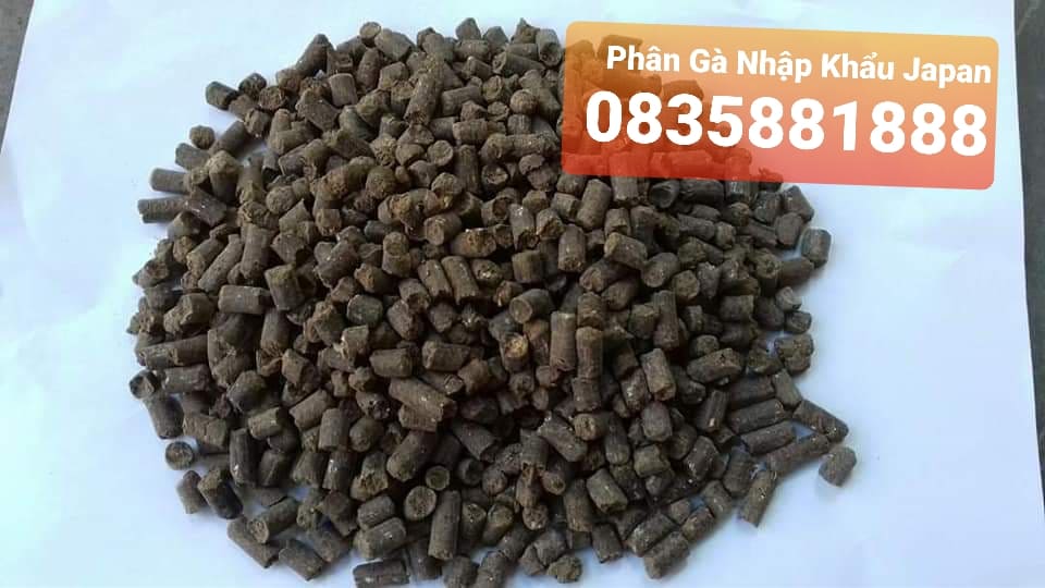 Phân Gà VinaTap: Phân Bón Hữu Cơ Tối Ưu Cho Mọi Loại Cây Trồng