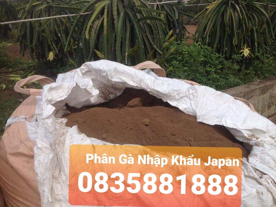 Phân gà Nhật Bản VinaTap