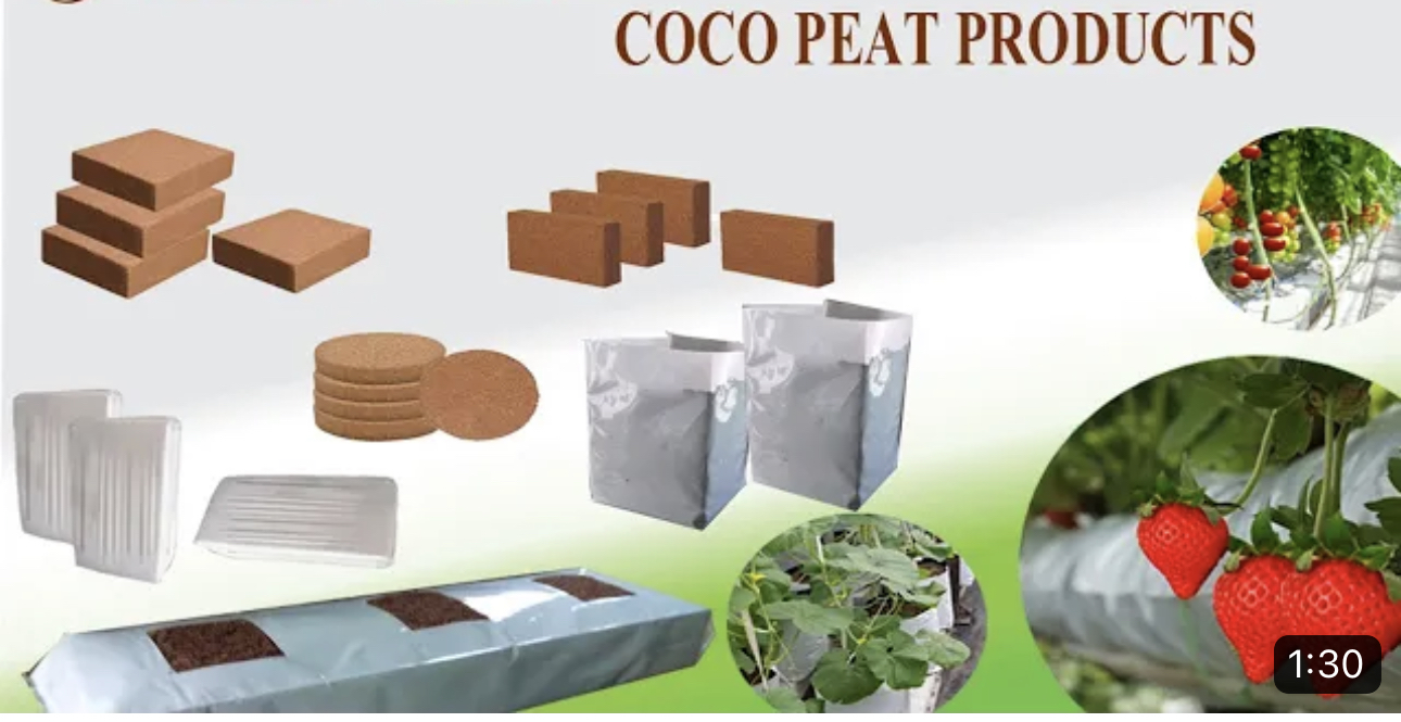 coco peat vinatap - growing medium