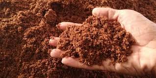 COCOPEAT VINATAP VIỆT NAM COMPANY - Professional manufacturer and exporter of CocoPeat No.1 in Vietnam