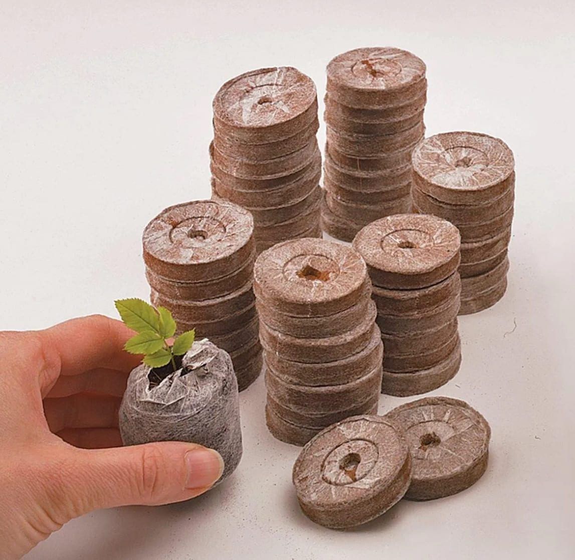 /uploads/images/vien-nen-xo-dua-gieo-hat-vinatap/vie-n-ne-n-xo-du-a-vinatap-coco-pellets15.jpeg