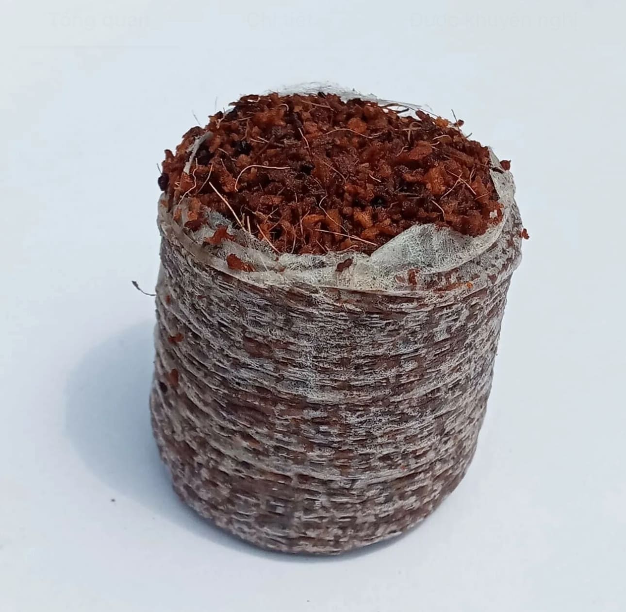 Coco pellets VinaTap