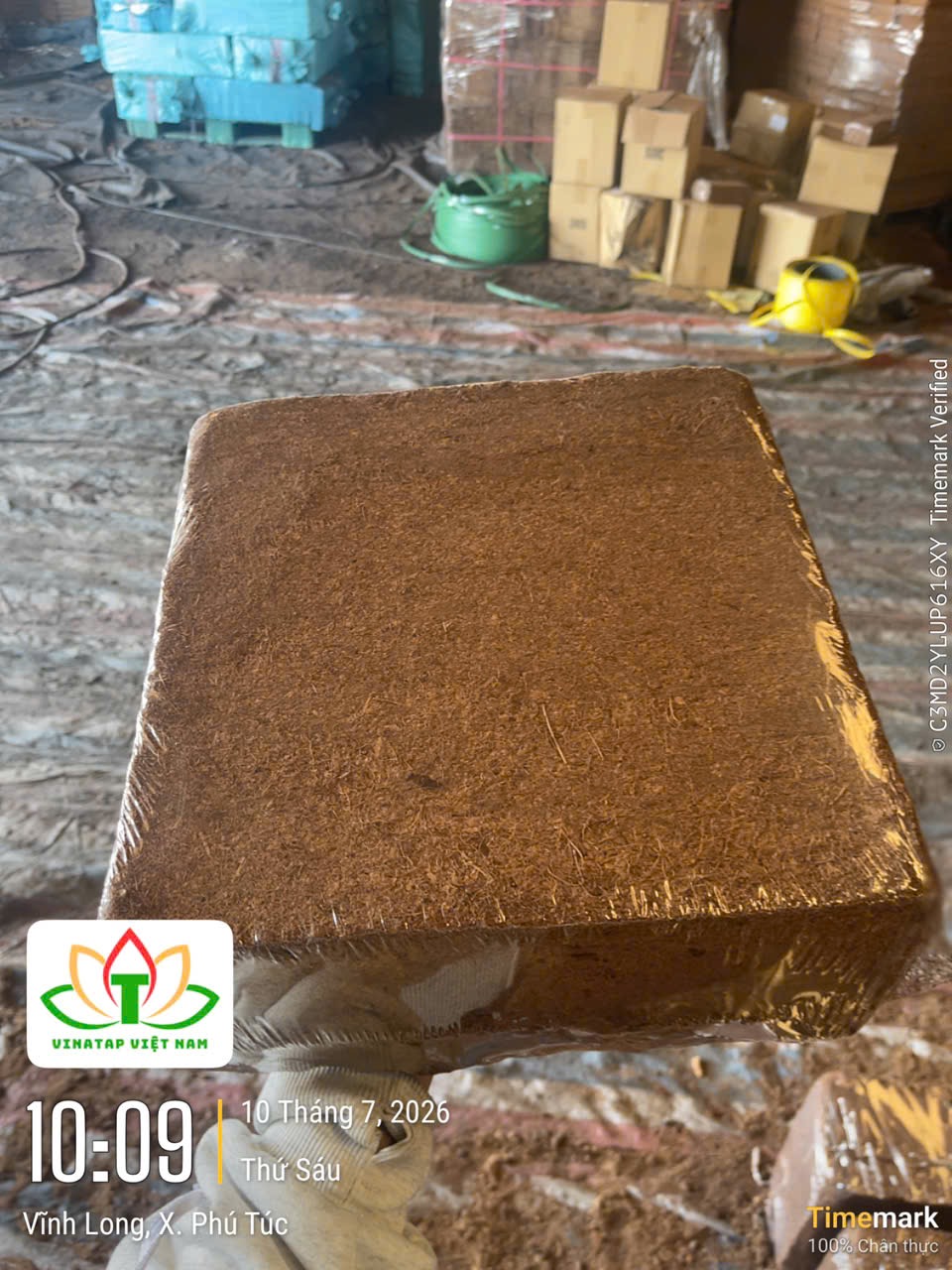 OEM 500g Coco Coir Brick for Terrarium Substrate - VinaTap Factory