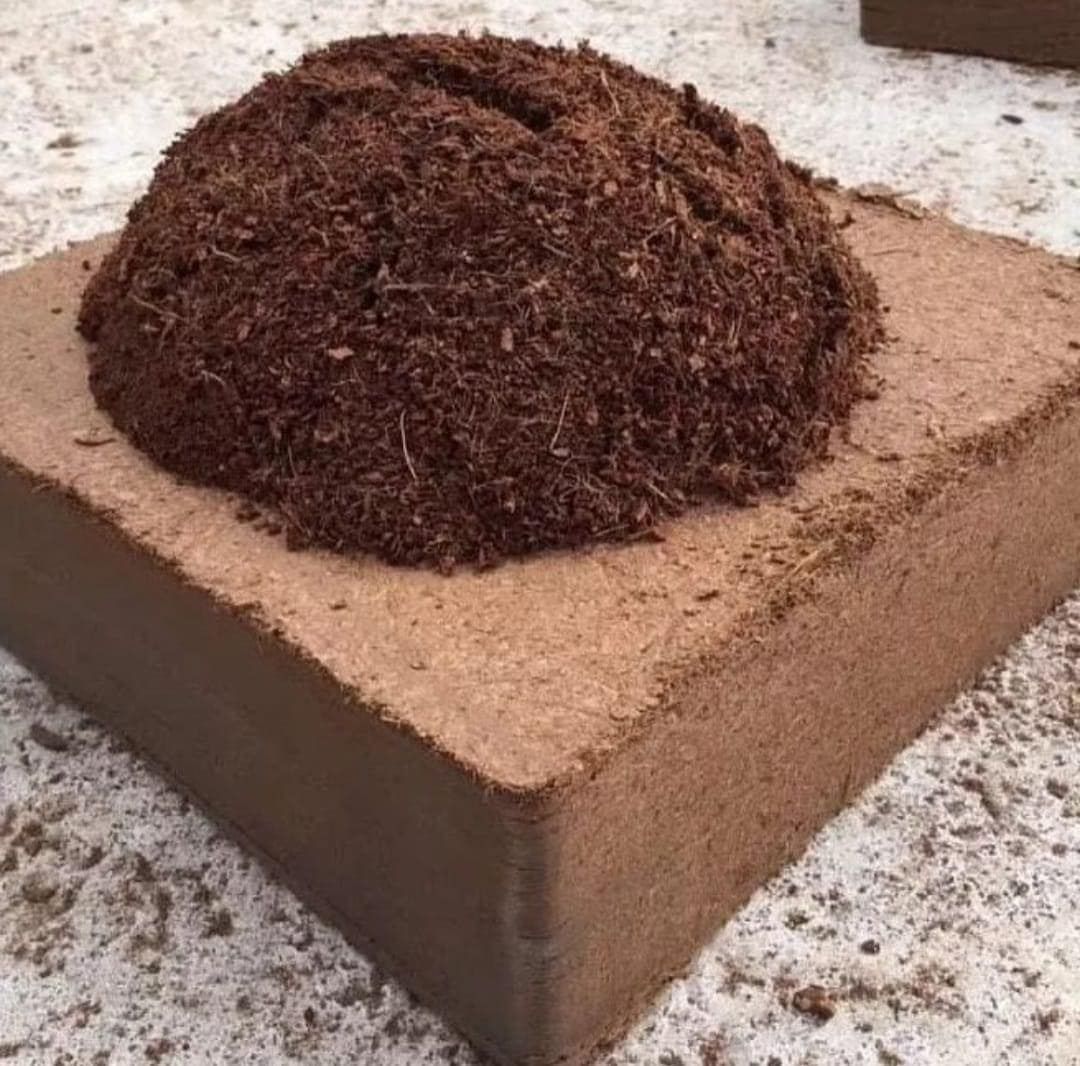 Hướng dẫn ngâm nước nở tơi xốp mụn dừa ép khối 0,5kg VinaTap