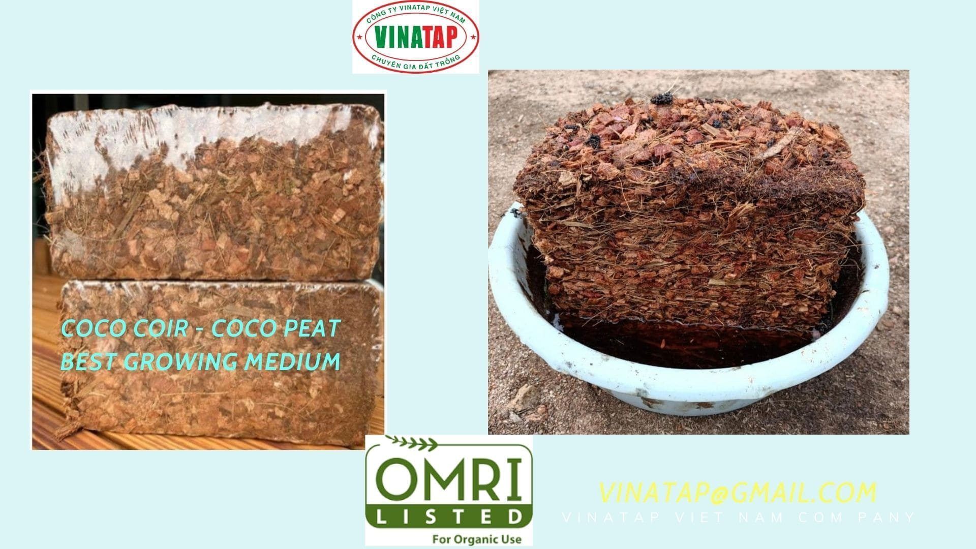 Strict quality control and clean coco husk chips production at VinaTap