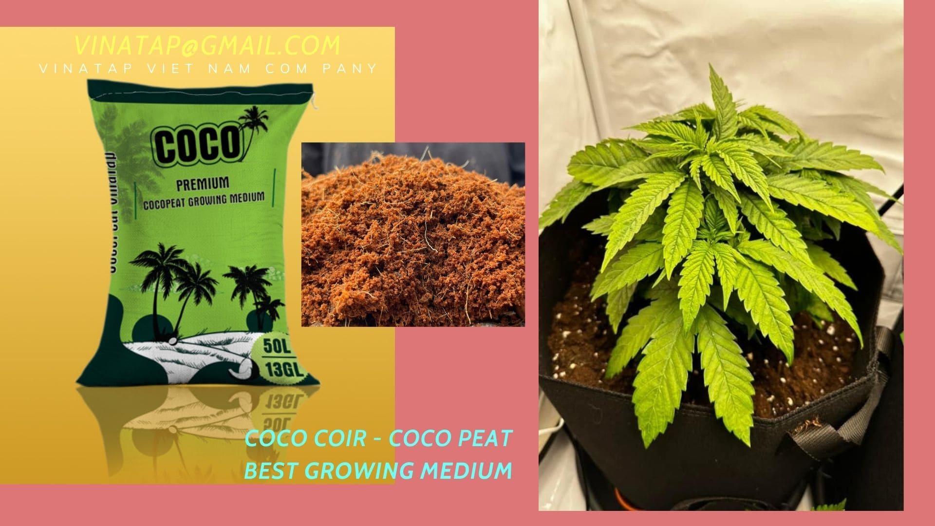 Coco peat for growing cannabis