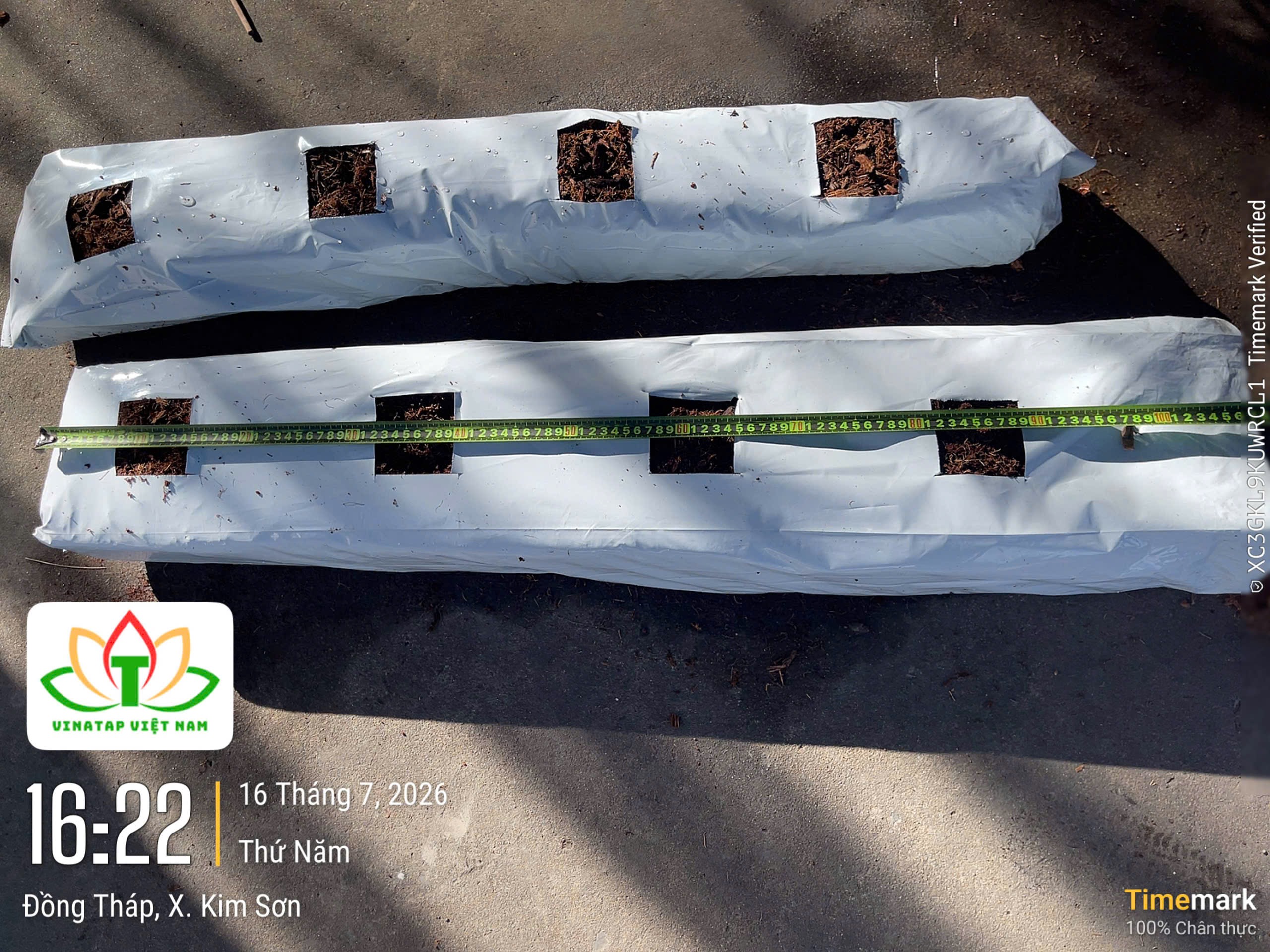 /uploads/images/vinatap-cocopeat-block/growbag-vinatap.jpeg