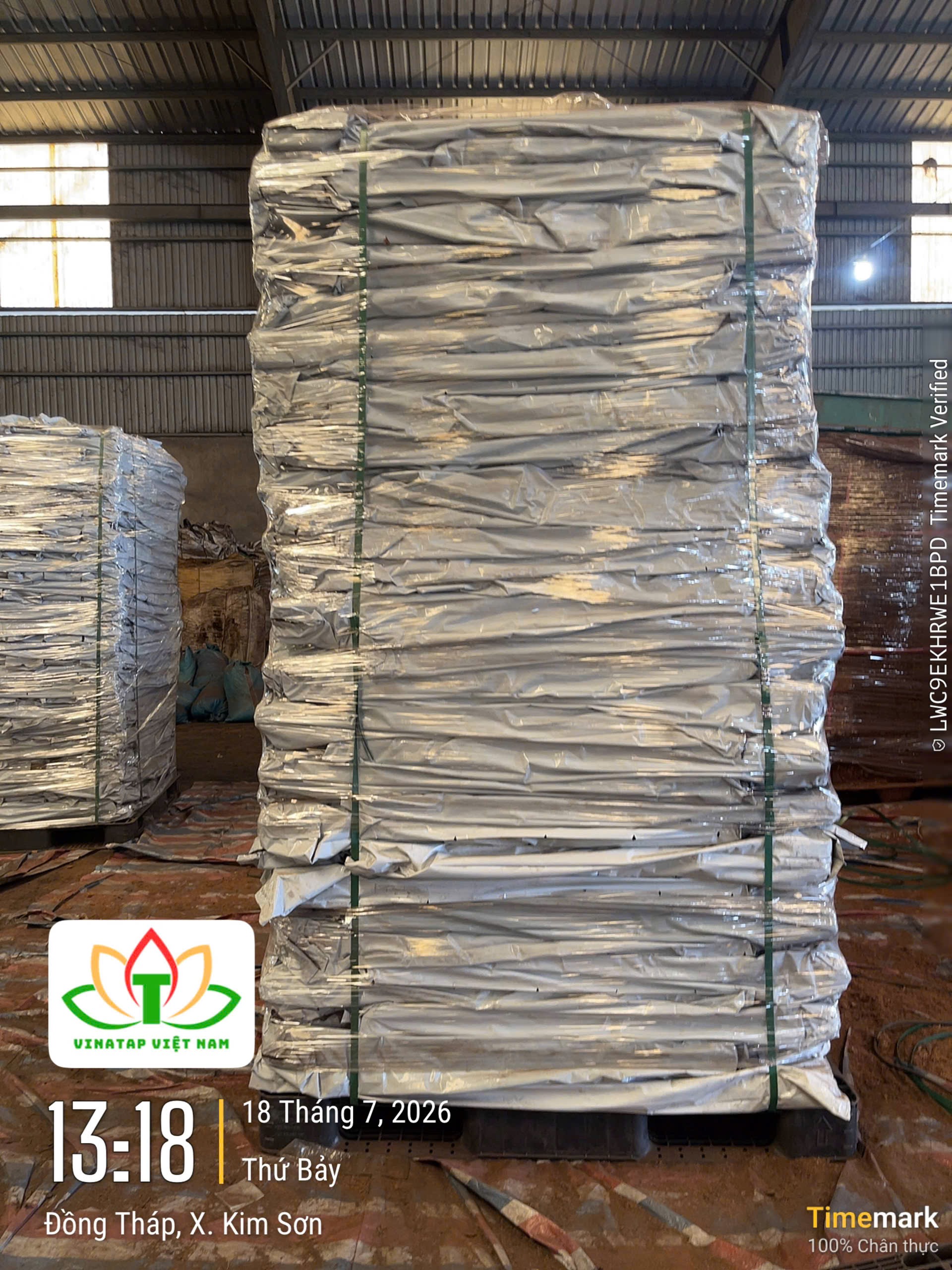 Loading Palletized Coco Coir Grow Bags into 40HC Container