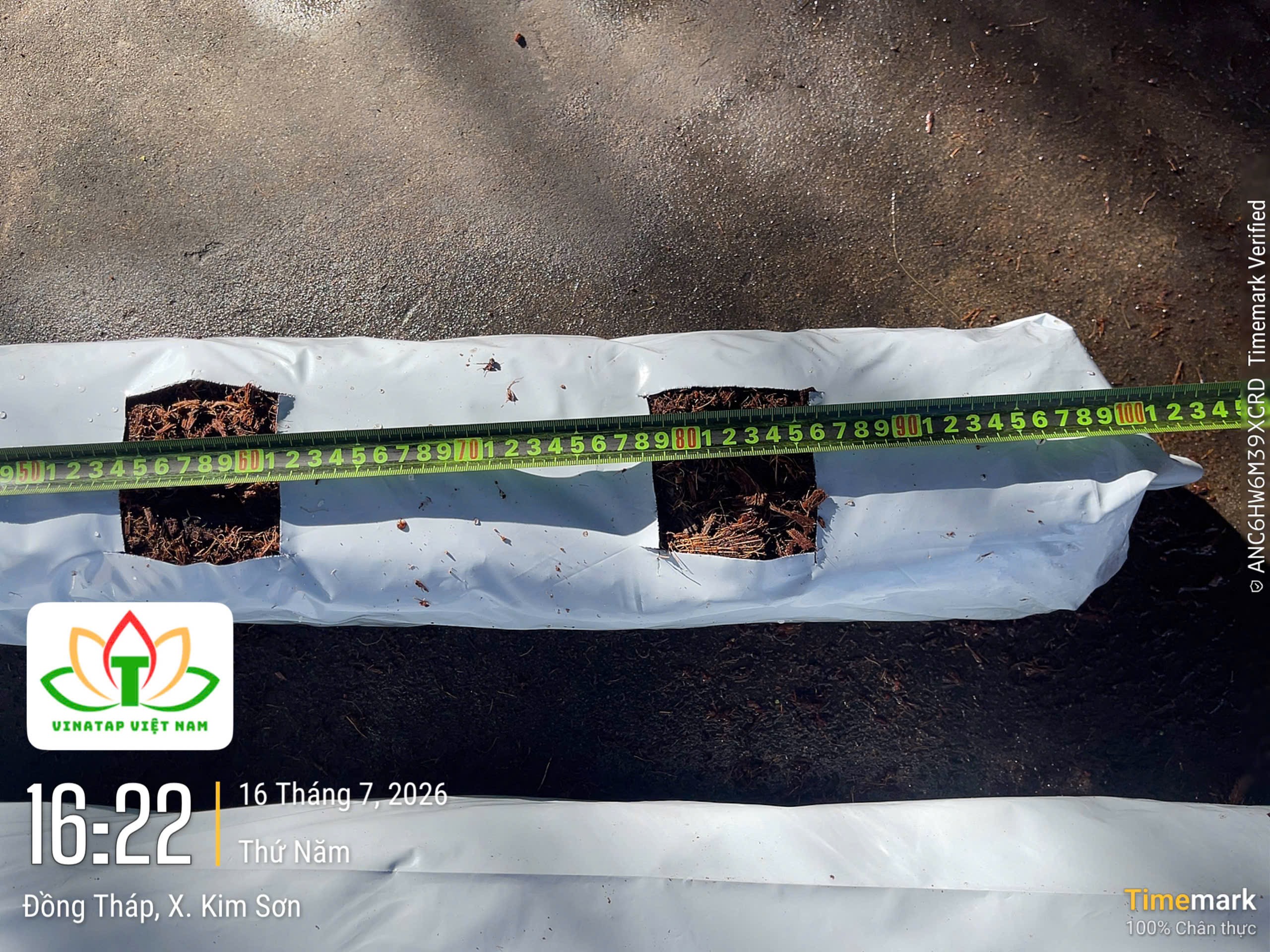 VinaTap coco coir grow bags configured with automated drip irrigation systems in a modern greenhouse