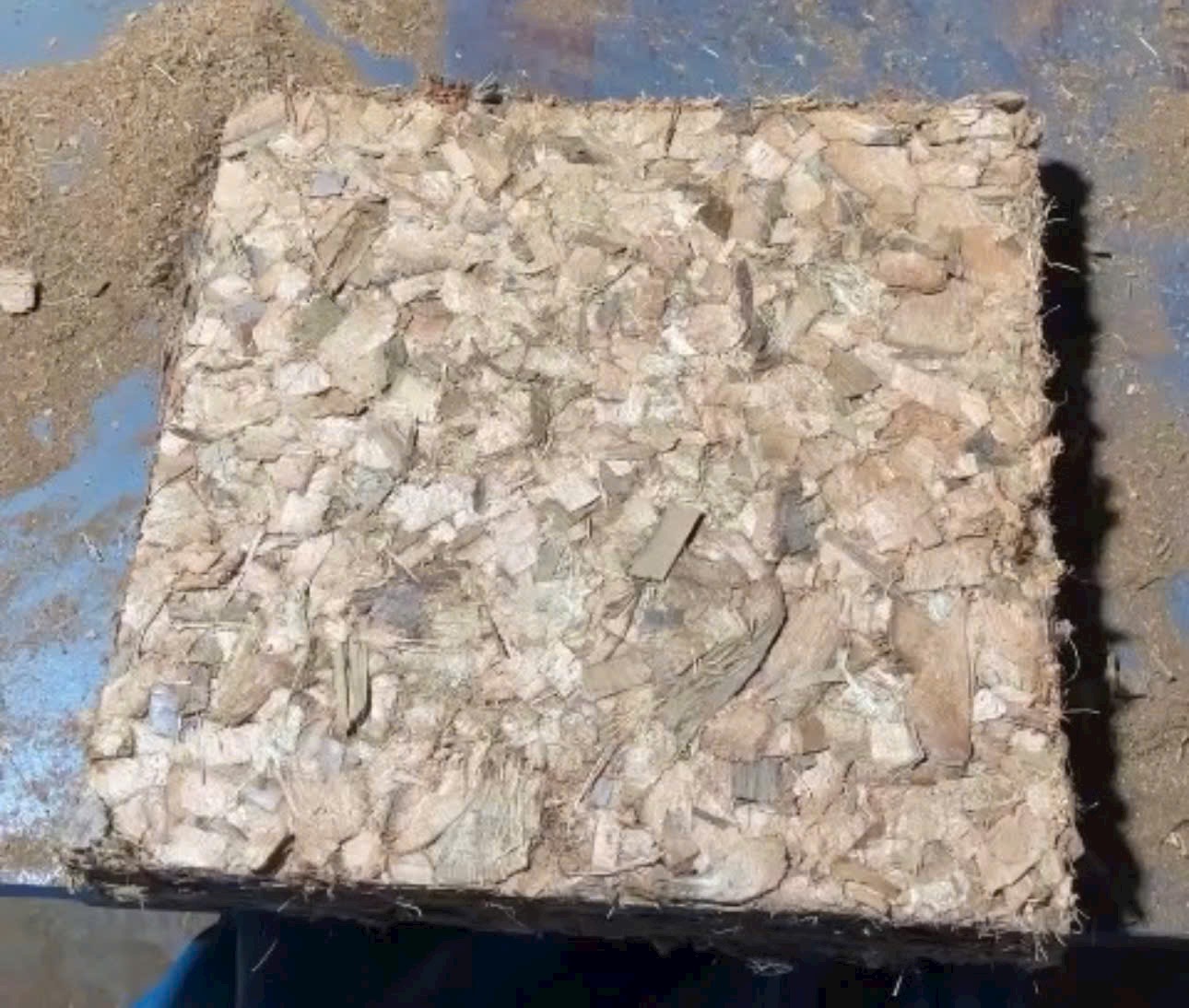 Various forms of VinaTap Coco Husk Chips and Compressed Blocks